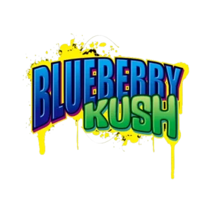 blueberry kush hhc kaufen