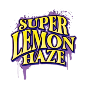 super lemon haze hhc pen kaufen