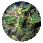 V Syndicate Slikks Silikonmatte Small Round Blue Dream