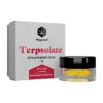 Happease Extrakts Strawberry Field Terpsolate 97% CBD und Terpene 1g
