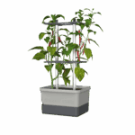 Integrierte Bewässerung & das stabile Ranksystem -  10 L - CHARLY CHILI