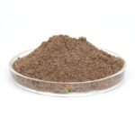 Colonize AG - Richtiges Verhältnis von guten Pilzen und Bakterien