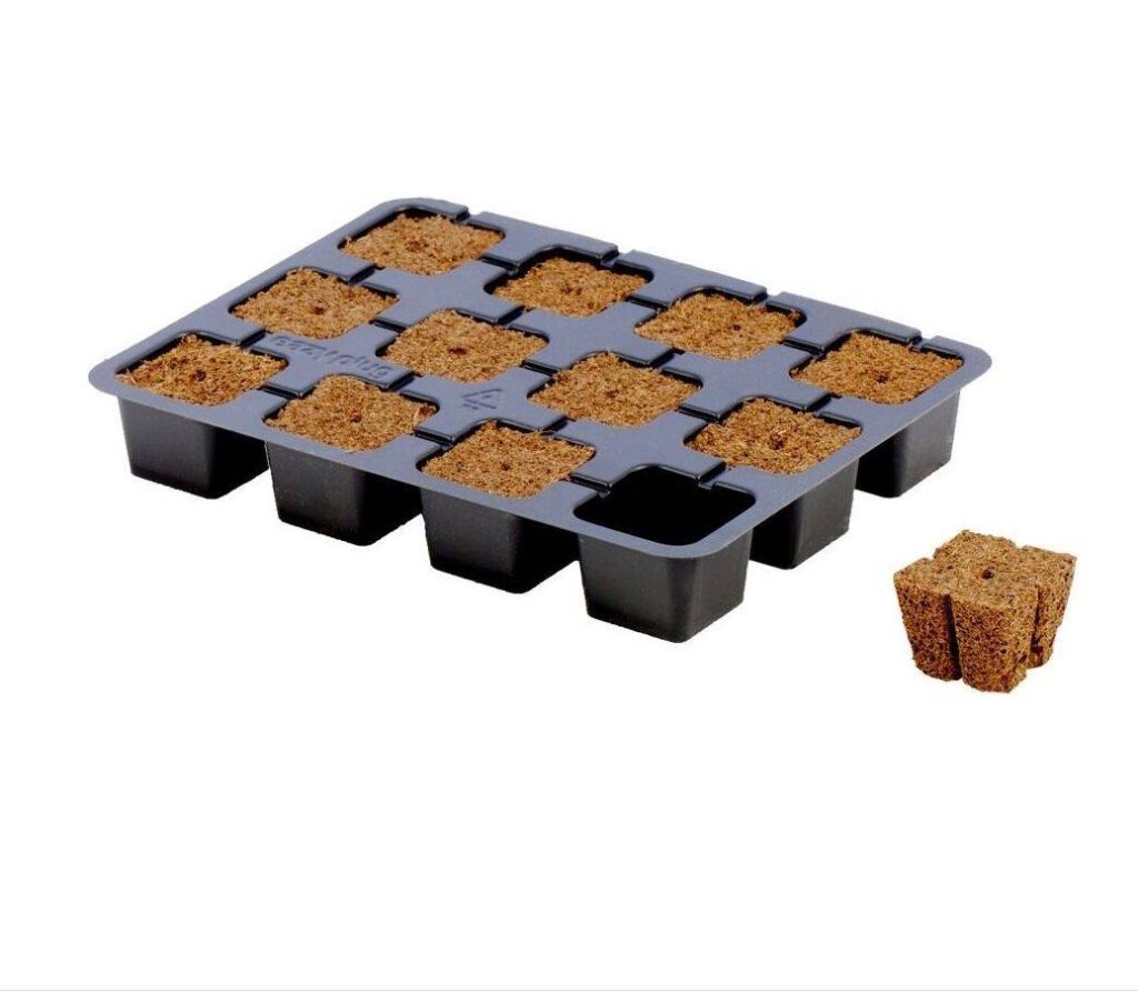 Eazyplug CT12 35 x 35 cm Tray mit 12 Stueck Anzuchtwuerfel organisch