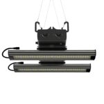 Greenception  GCx 4  120 Watt   Growlampe mit  342 µmol/s