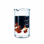 HUMAGRA® NPK 10-0-3 + HUMIC ACIDS, BIOSTIMULANZ & ORGANISCH-MINERALISCHER DÜNGER 1L – Bild 2