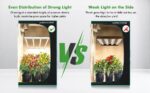 MARS HYDRO FC-E 3000 300W LED Grow Lampe - Pflanzenlampe – Bild 11