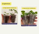 Mycofriend® Premium Mykorrhiza – Biologischer Wurzelaktivator für kräftige Pflanzen und gesunde Wurzelsysteme – Bild 2