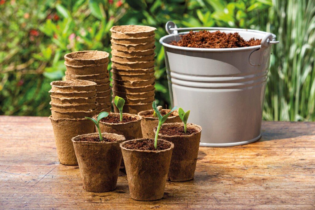 Romberg 26 Anzuchttoepfe rund 6cm