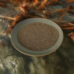 Algae lime - Vitalisierende naturreinen Meeresalgen - Lithothamnium Calcareum