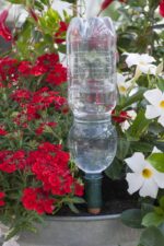 Blumat Easy 0,2l/24h, 3er Pack zur automatischen Kurzzeit Bewässerung – Bild 2