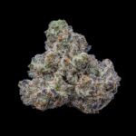 Cookies Seeds - Bogota - Feminisiert -  3 Stück