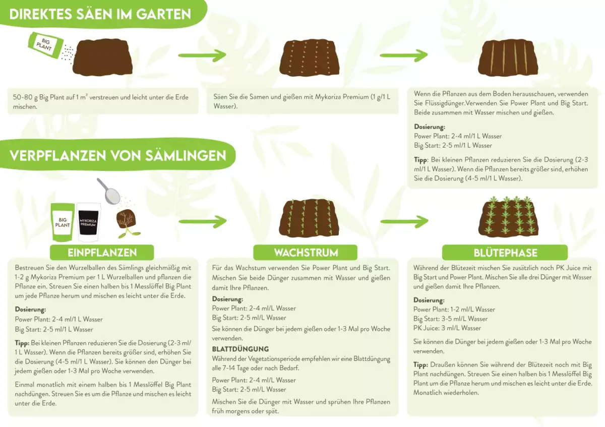 direktsat-im-garten-verpflanzen-von-saemlingen-organicsnutrients.webp Bio Blüte Booster - PK Juice - Wachstums und Blühbeschleuniger - Organics Nutrients – Bild 4