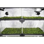 GHP Probox Propagator XL 120x40x200 – Bild 3
