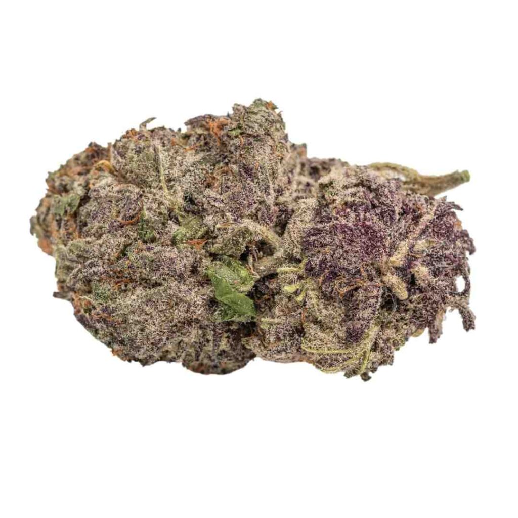 growerschoice ultra violet gmo