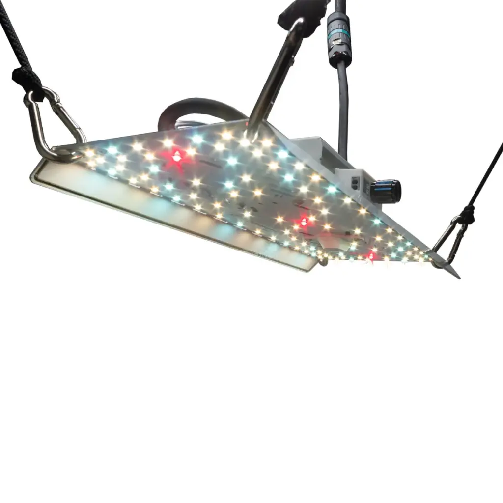 growleuchte bloomstar fluxshield habibi 150 50w vollspektrum
