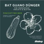 Hubey Bat-Guano 2 kg Pulver 100% Fledermausdünger - Fledermauskot – Bild 2