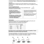 Nemaplus depot - Vorbeugende Behandlung gegen Trauermücken – Bild 4