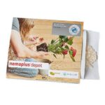 Nemaplus depot - Vorbeugende Behandlung gegen Trauermücken