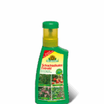 Schachtelhalm Extrakt