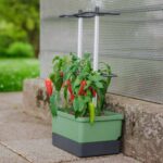 Integrierte Bewässerung & das stabile Ranksystem -  10 L - CHARLY CHILI – Bild 3